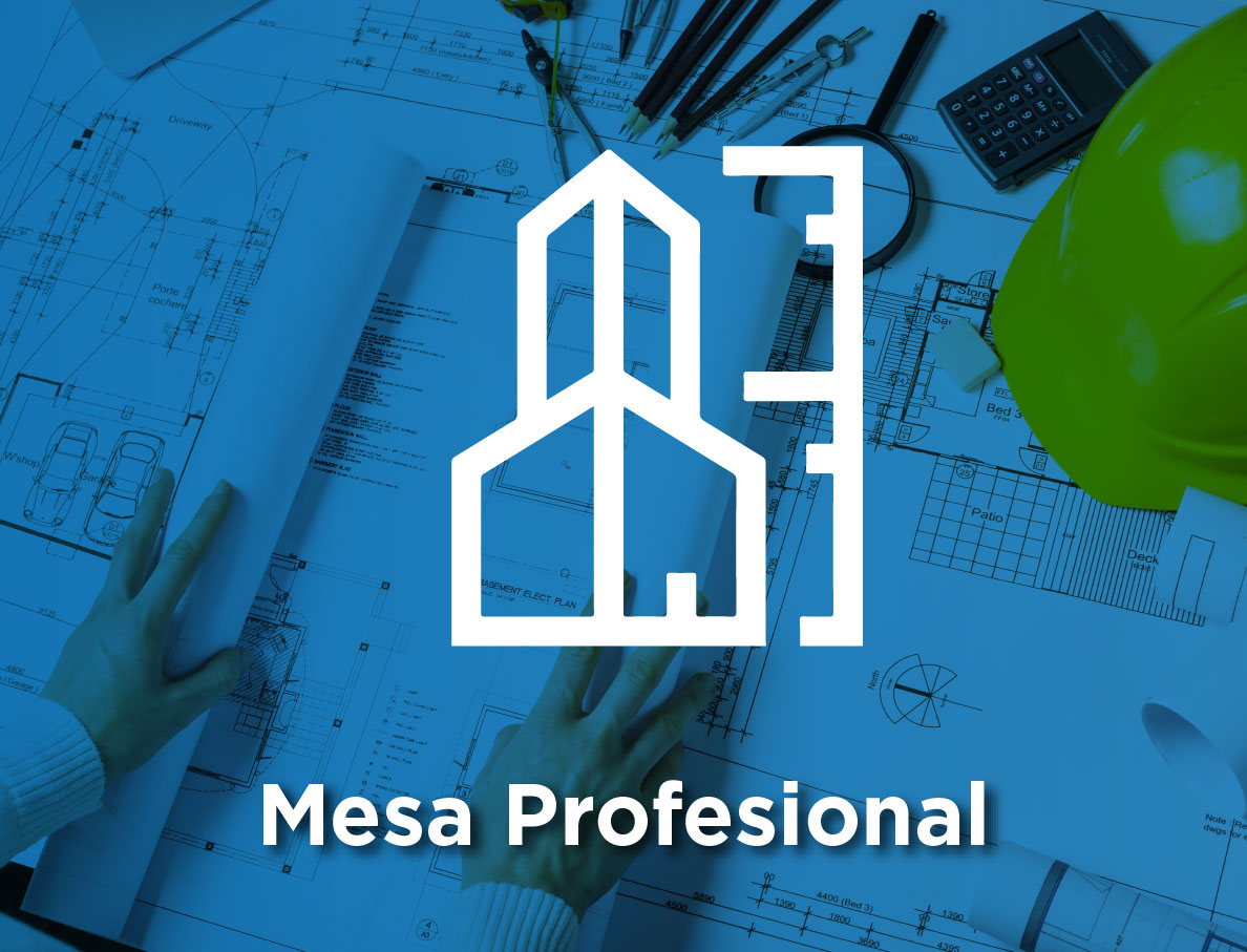 2.	Mesa Profesional